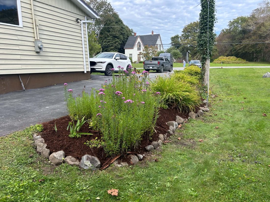 After: the same driveway bed with fresh dark mulch, a neat stone border, ornamental grasses and pink flowering perennials