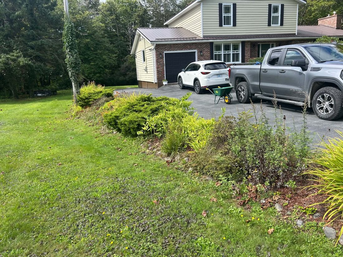 Before: overgrown, weedy bed between the lawn and driveway with no defined edge