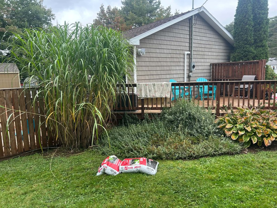 Before: a tall ornamental grass and low groundcover beside a back deck, with bags of bark mulch on the lawn