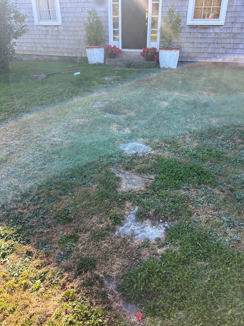 Before: a patchy, weedy lawn in front of a shingled house, with a few old flat stones sunk into the grass leading to the front step